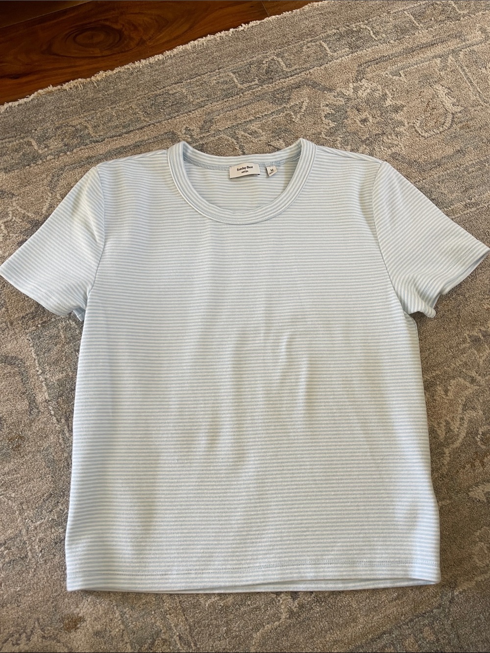 Aritzia Sunday best tee
